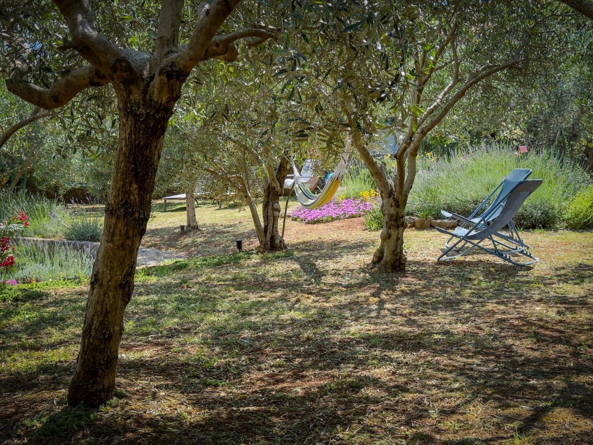 Holiday Home Lavanda Kornić Eksteriør bilde